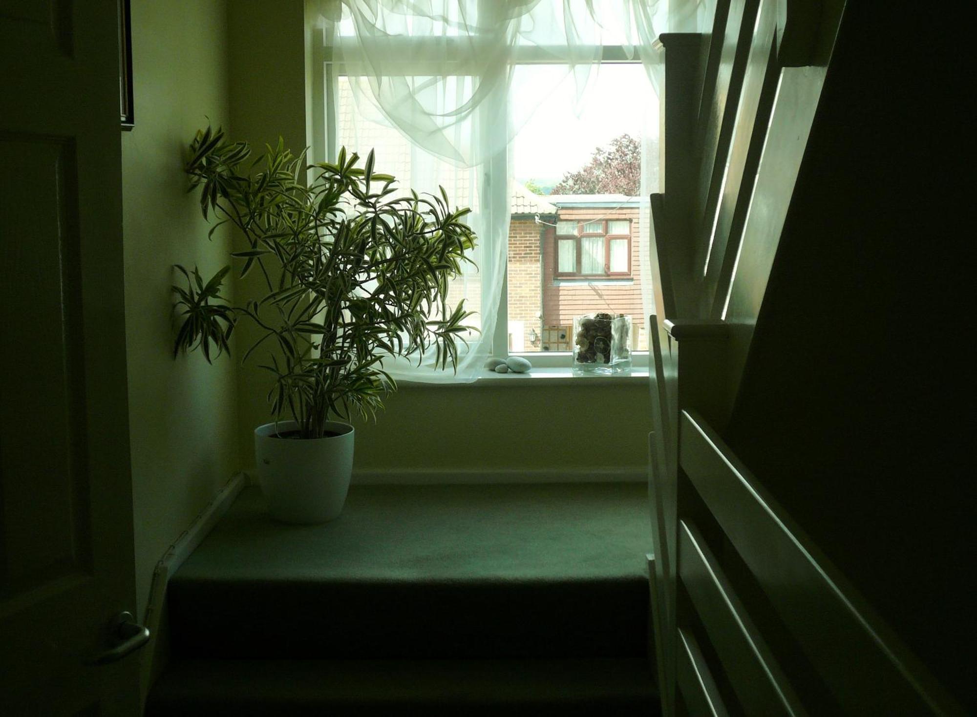 Malvern House Хай Уикъмб Екстериор снимка